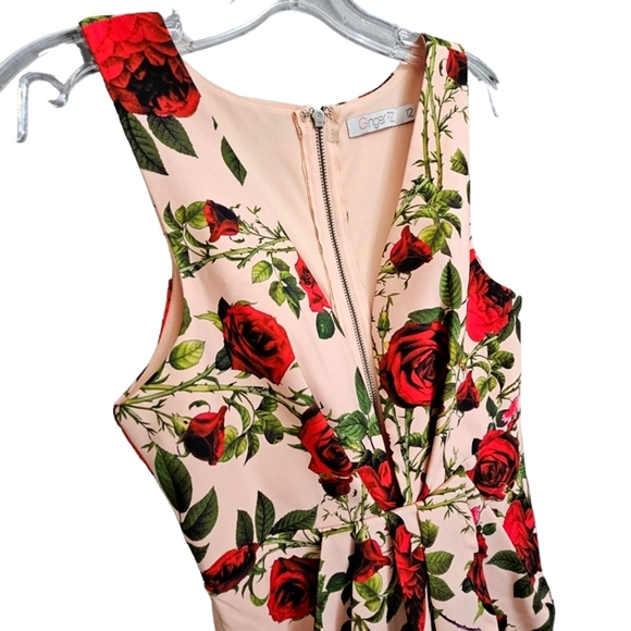 Nwot Ginger Fizz Sleeveless Plunging V Peach/Red Roses Asymmetrical Midi… - Picture 6 of 17